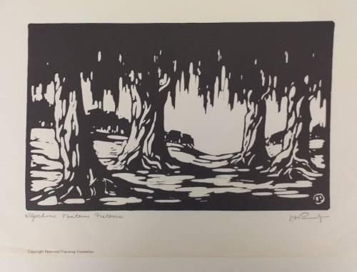 Linosniee afdruk van Wilgerbome Pretoria deur Jacob Hendrik Pierneef