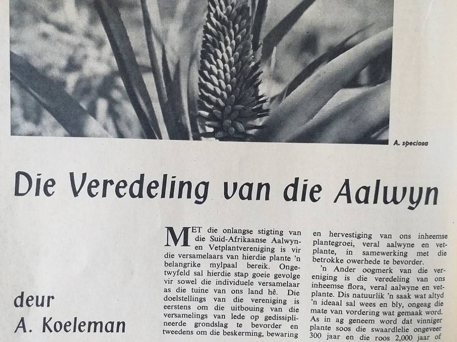 Lantern Tydskrif Magazine Des 1962 vol XII nr 2