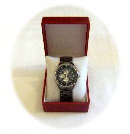 Gentleman's Stainless Steel Justin Crystal Water Resistant Watch