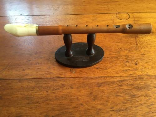 Recorder with white mouthpiece