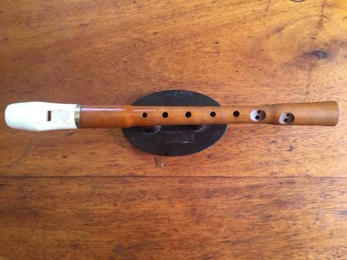 Recorder with white mouthpiece