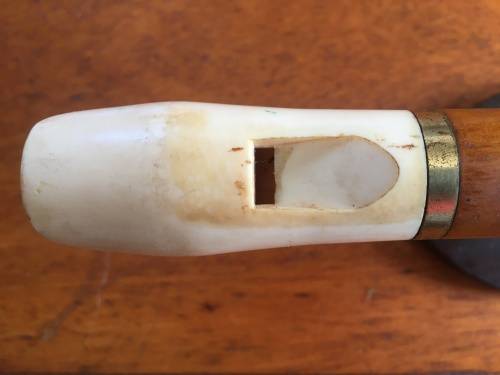 Recorder with white mouthpiece