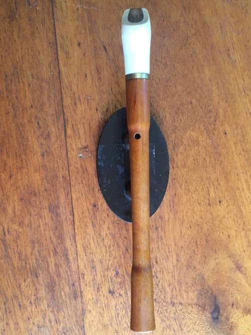 Recorder with white mouthpiece