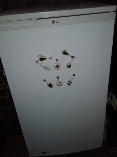 LG Bar fridge