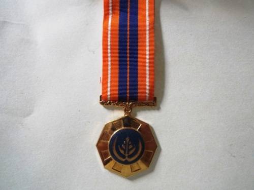 Full Size. Pro Patria Medal. Medal Number 212711