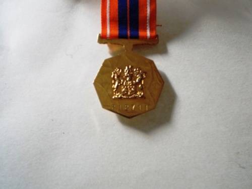 Full Size. Pro Patria Medal. Medal Number 212711