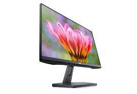 Dell 22 Monitor: SE2219H