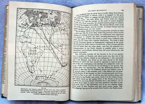 Sea-Birds An Introduction to the Natural Historyof the Sea-Birds of the North Atlantic - J. Fischer