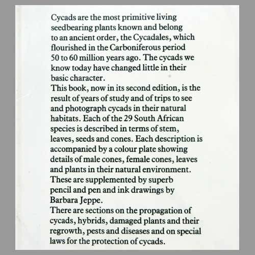 Information on the inner back dw flap.