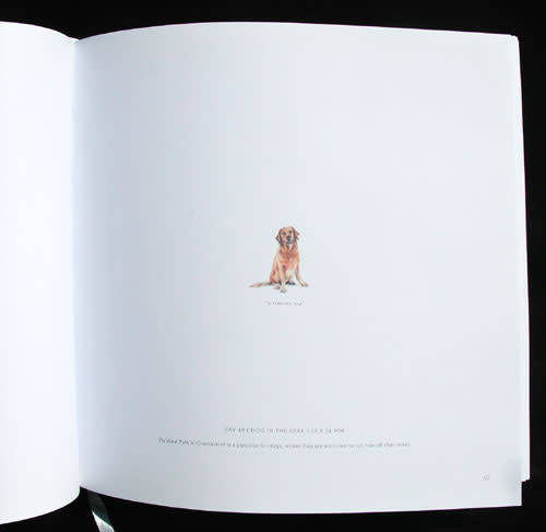 365 POSTCARDS FOR ANTS -- Lorraine Loots