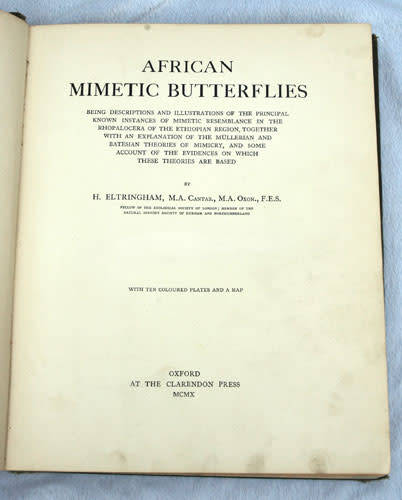 AFRICAN MIMETIC BUTTERFLIES -- H. Eltringham 1910
