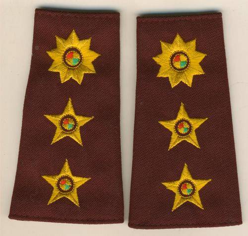 (4350) SHOULDER RANK PAIR - SANDF Medical Services - Colonel - Field Dress - Obsolete - ORIGINAL!!