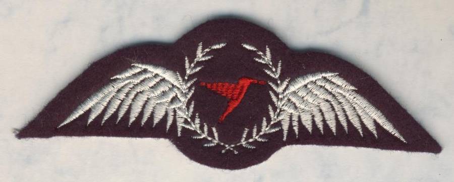 (0456) AVIATION - SA CHC Helicopters Pilot Wing - Obsolete - ORIGINAL!!
