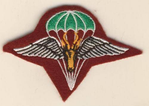(0593) BERET BADGE - SA 1 Para Bn. 2nd Type O/R's - REPRODUCTION!!!