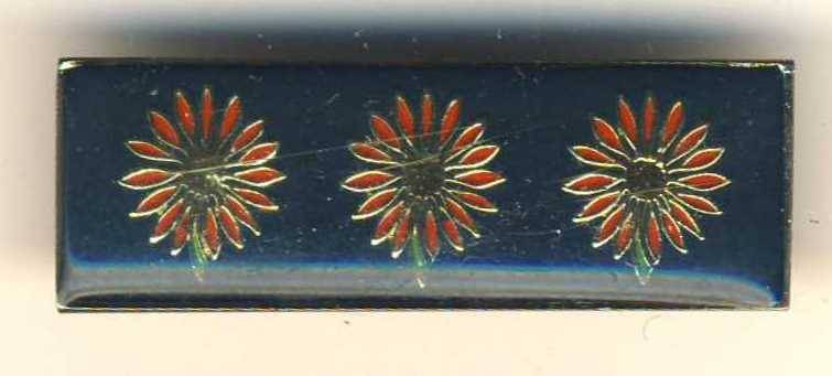 F0866 - COMMAND AFFILIATION BAR - SA Northern Transvaal Command - ORIGINAL!!