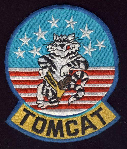 F0870 - ORIGINAL!! USAF - Tomcat Flight Suit Patch