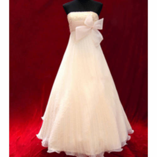 Crazy *Special* Elegent Strapless Formal Dress With Bow available in 4 colour