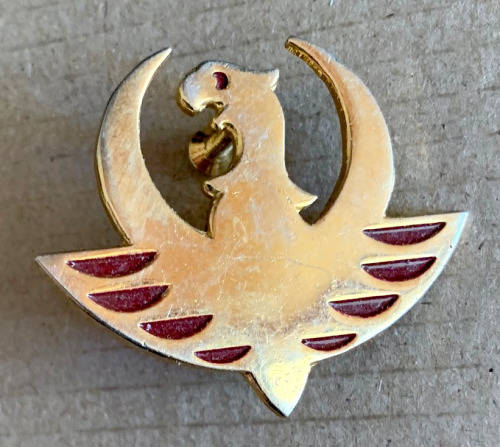 Afrikaner Weerstands Beweeging (AWB) Yster Garde Gilt metal and enamel
