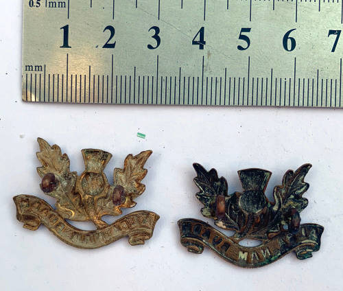 Transvaal Scottish collar badges