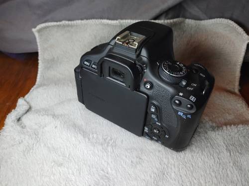 Canon EOS T3i (EOS 600D) + 18-55mm + 50mm + Voyager Prestige