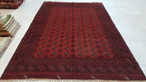 Special Offer!!Persian Red Afghan Carpet 292cm x 195cm Hand Knotted