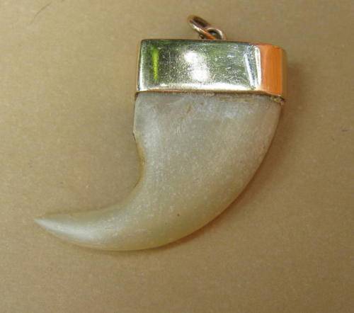 ANTIQUE LION'S CLAW PENDANT SET IN GOLD CASING