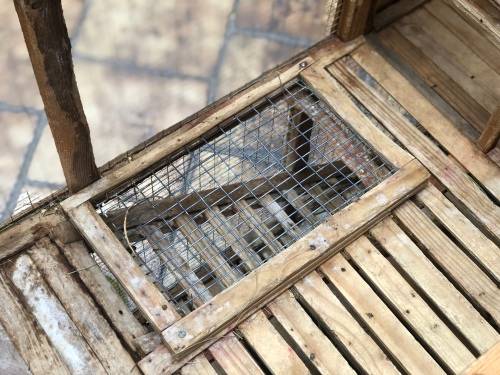 Double Story Rabbit Mansion Hutch