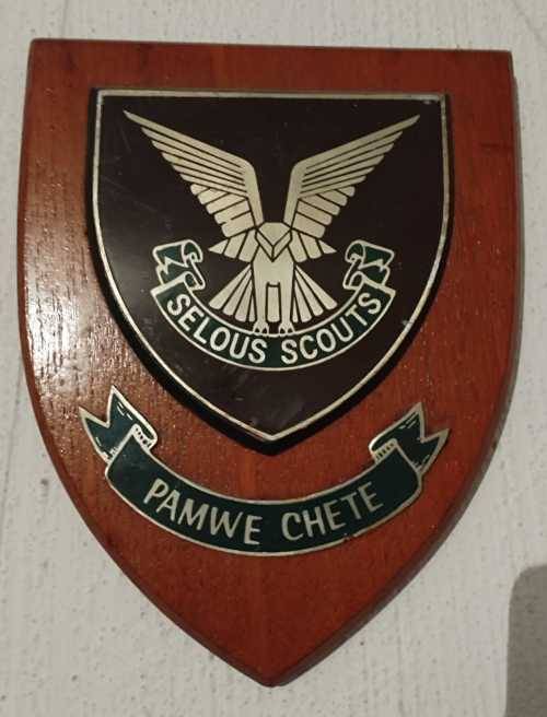 Selous Scouts Plaque TP3