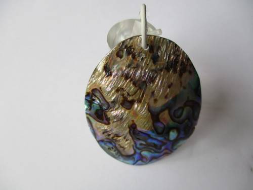 53.00 x 42.00 mm Paula Shell