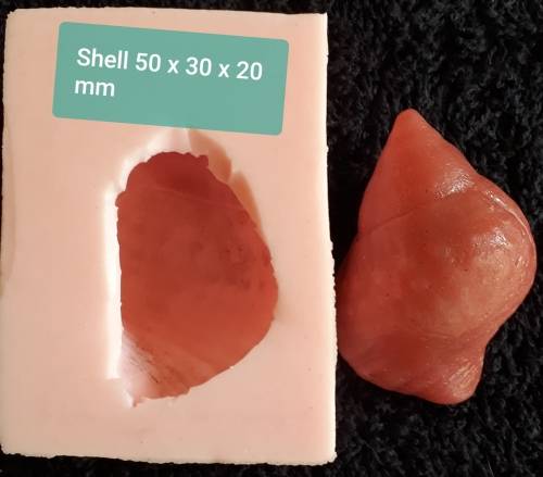 SILICONE MOULD " Secondhand " LIMITED STOCK  - Shell - 50 mm x 30 x 20 mm Deep