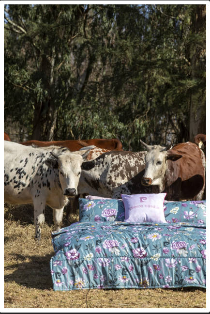 Luxury New Arrivals stunning*Pierre Cardin Comforters..Quality is superb sizes available queen ,