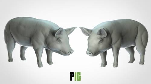 1:72 Scale - Pig (5 Pack)