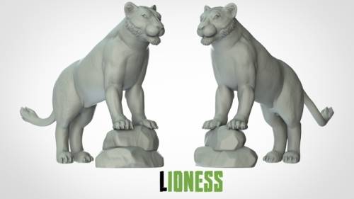 Lioness
