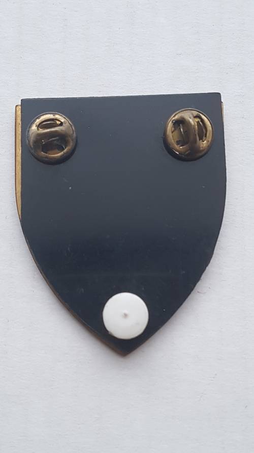 SADF - SA MILITARY SHOULDER FLASH -  2 FIELD ENGINEERS + PINS