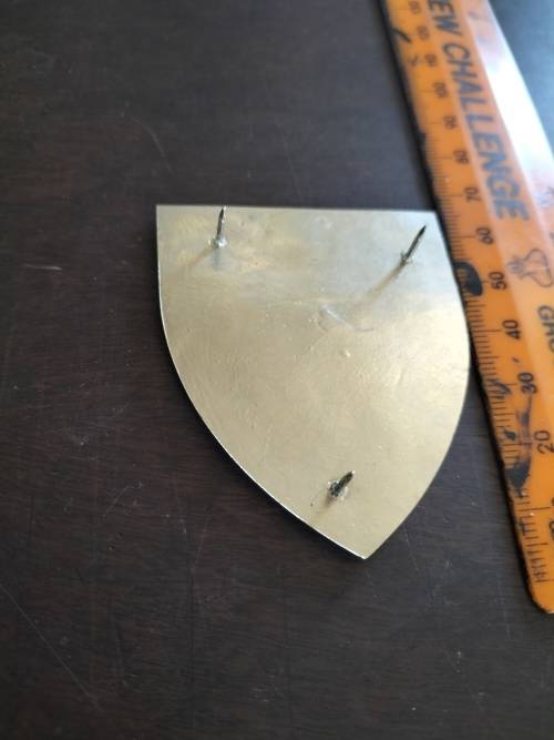 SWA Etosha Area Force Unit Flash