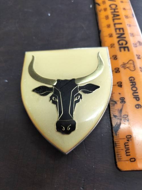 SWA 52 Battalion Flash