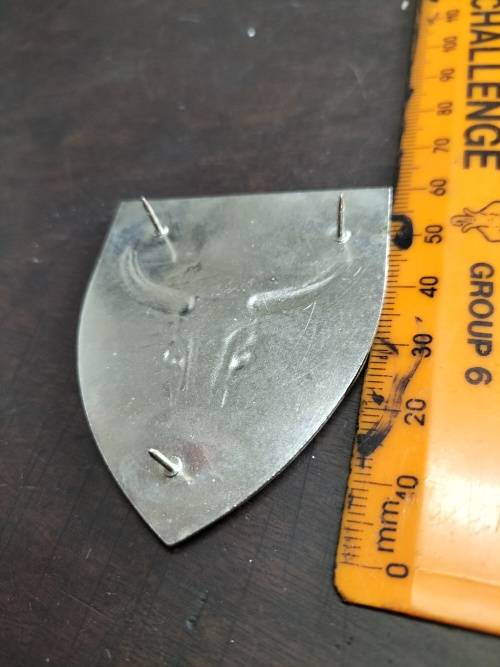 SWA 52 Battalion Flash