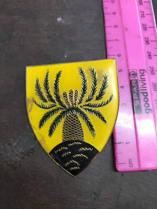 SADF 4 SAI Flash (2x pins missing)