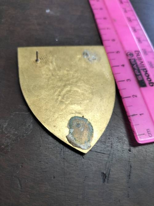 SADF 4 SAI Flash (2x pins missing)