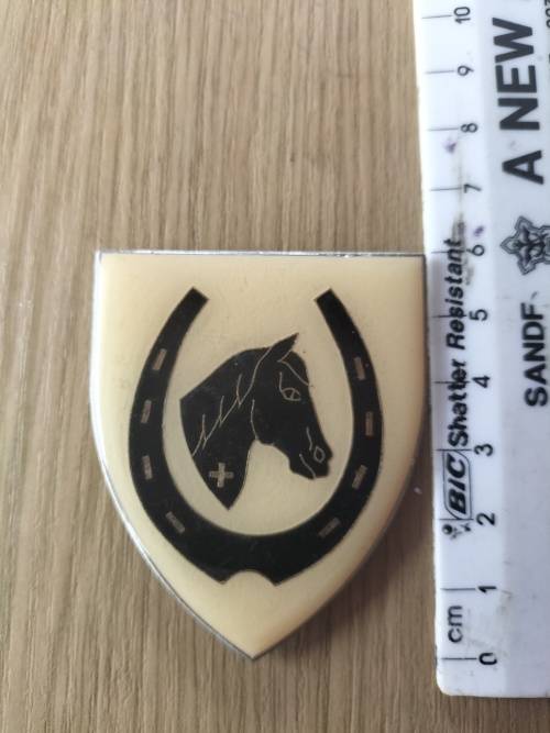 SADF Equestrian Centre Flash (No Pins)