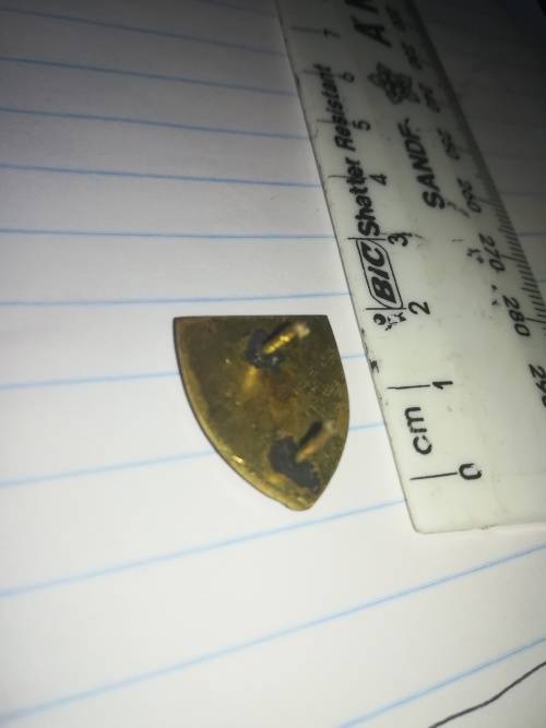 SADF Regiment De La Rey Cravat Pin