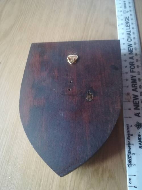 SA Army 8 SAI Plaque