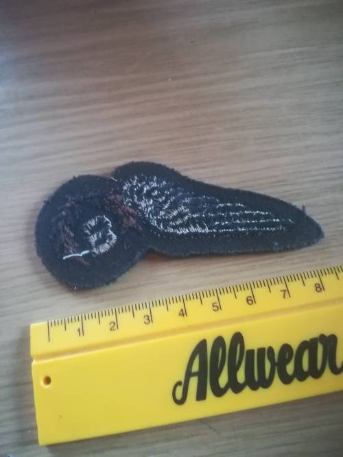 British Royal Air Force Bomber Cloth Wing