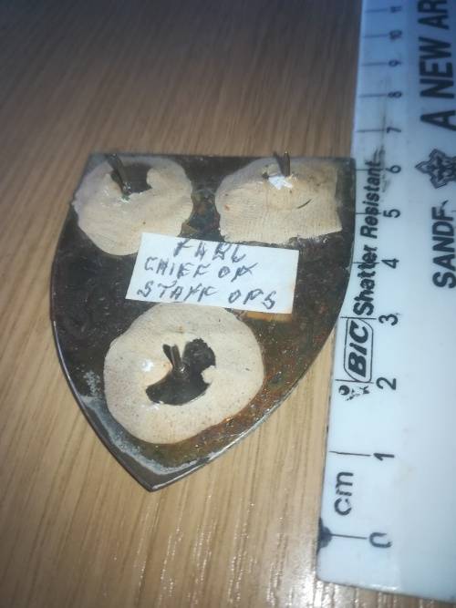 SADF Chief of Staff Operations Flash (Selfmade Pins)