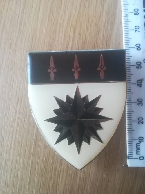 SADF 1 Recce Regiment Flash