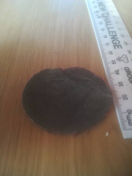 SADF Recce Beret Badge