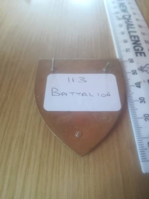 SADF 113 Battalion Flash (1x Pin missing)