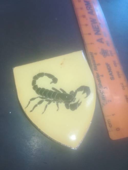 SADF Gatsrand Commando Flash (2x Selfmade Pins)