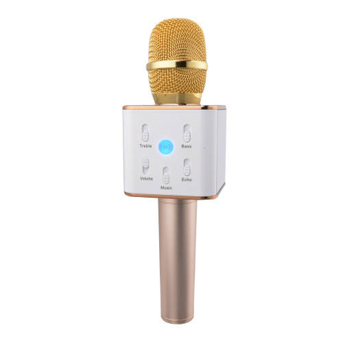 Karaoke Microphone