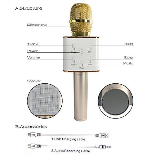 Karaoke Microphone